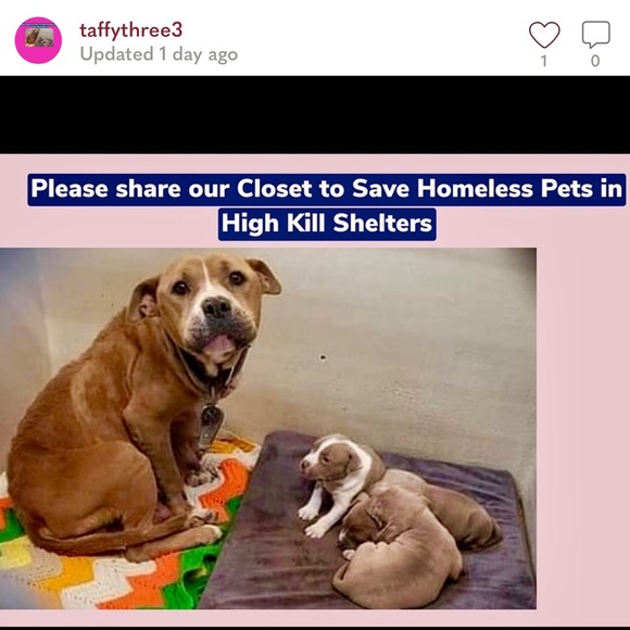 Hoop earrings CZ diamond 17 in each earring. Save Pets in High Kill Shelters - Picture 8 of 9